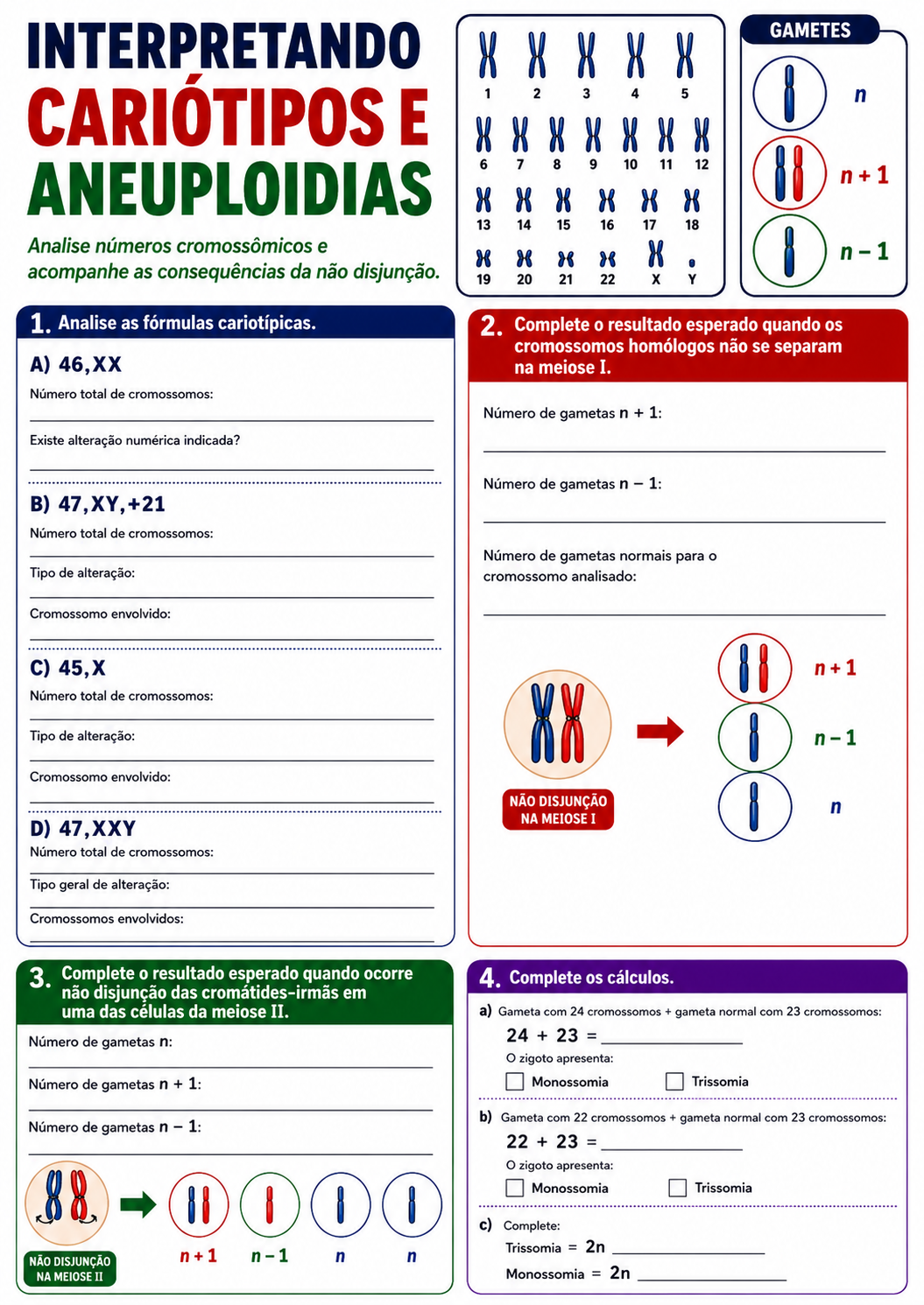 Atividade visual de Genética: Interpretando Cariótipos e Aneuploidias