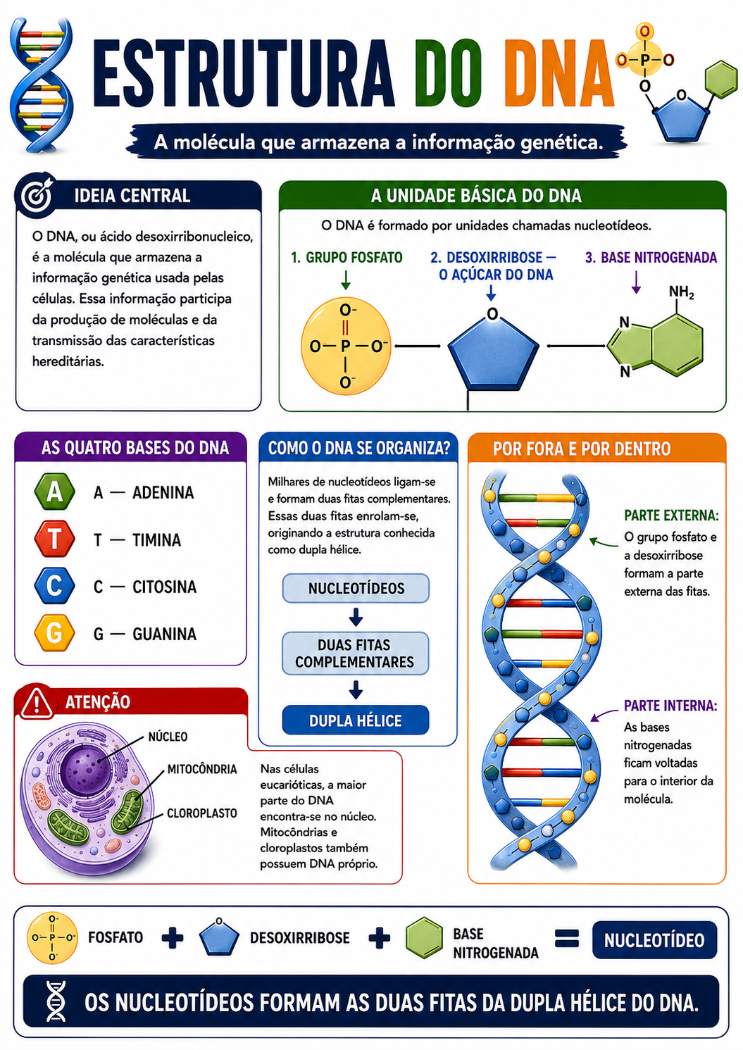 Página visual de Genética: Estrutura do DNA
