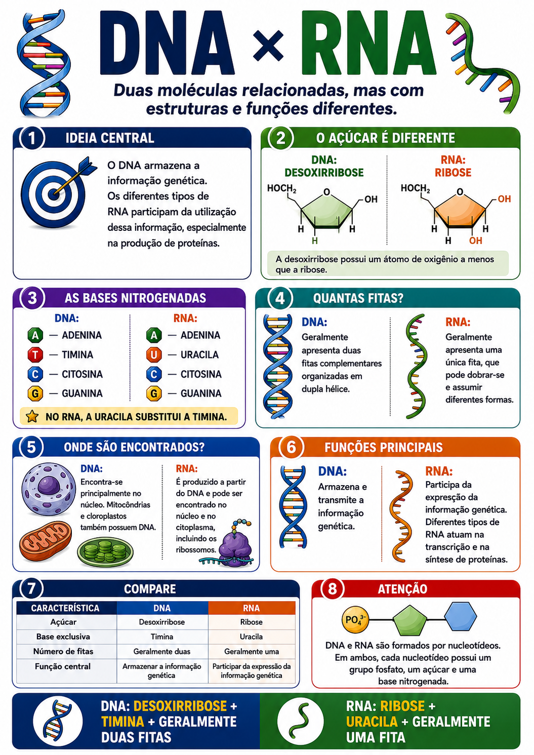 Página visual de Genética: DNA e RNA