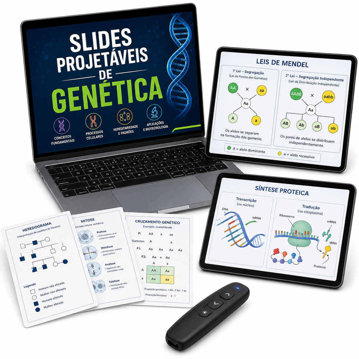 Slides Projetáveis De Genética